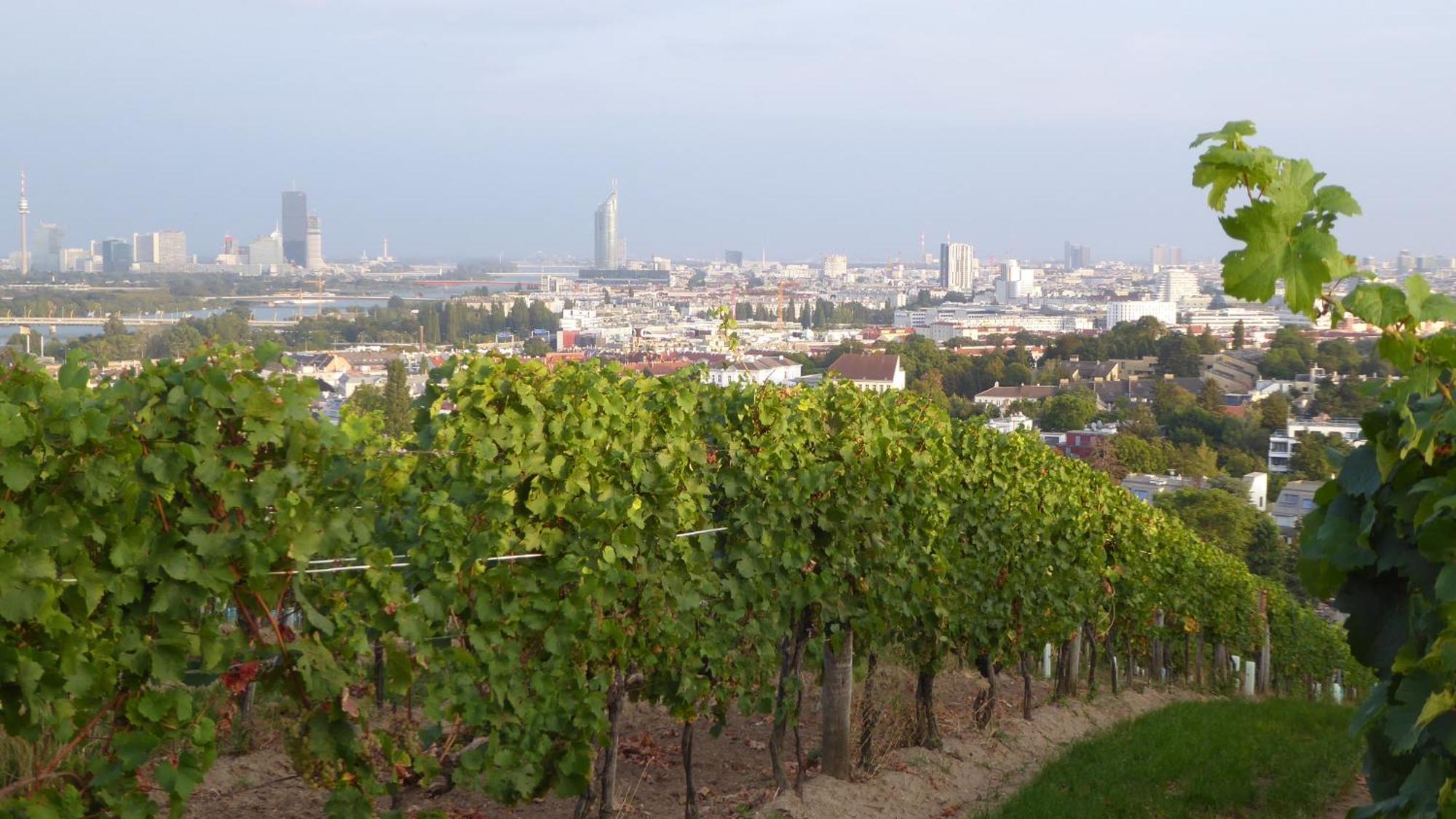 Apartmán Wohnen Im Schoensten Viertel Wiens *