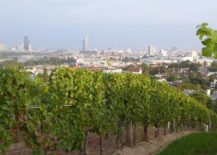 Wohnen Im Schoensten Viertel Wiens